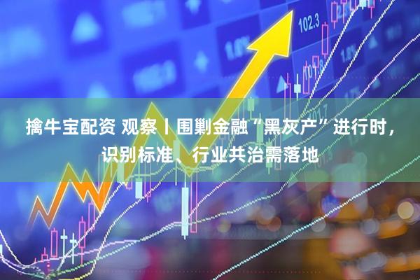 擒牛宝配资 观察丨围剿金融“黑灰产”进行时，识别标准、行业共治需落地